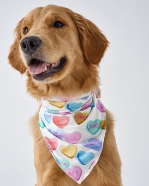 Candy Cuties Pet Bandana