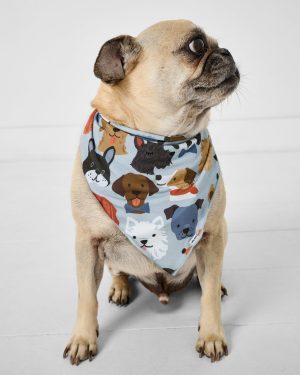 Gray Puppy Parade Pet Bandana