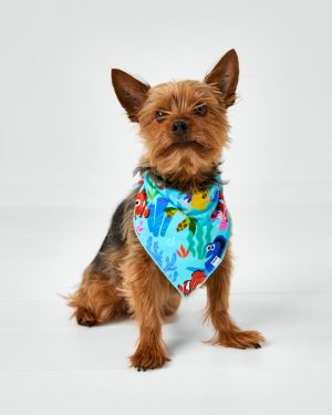 Pixar Nemo's Reef Pet Bandana