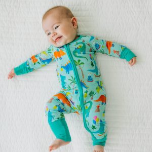 Prehistoric Party Zippy