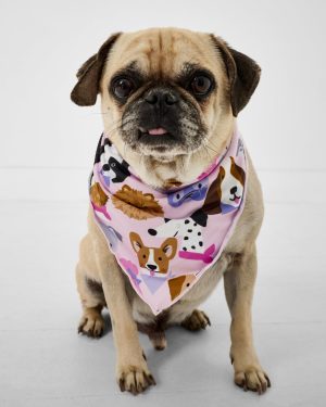 Pink Puppy Parade Pet Bandana